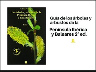 Guía de los árboles de la Península Ibérica y Baleares