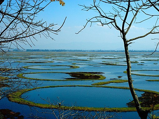 Pulau-pulau yang Bergerak Sendiri