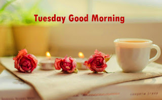 tuesday morning wishes