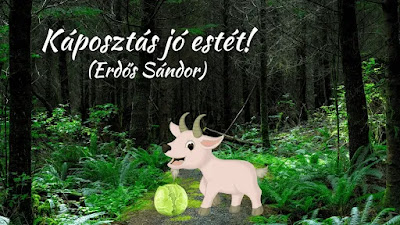 Kép
