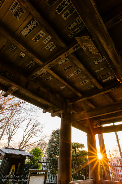 お寺の前にある山門を潜ろうとすると綺麗な夕陽が照らしていたので写真を撮りました