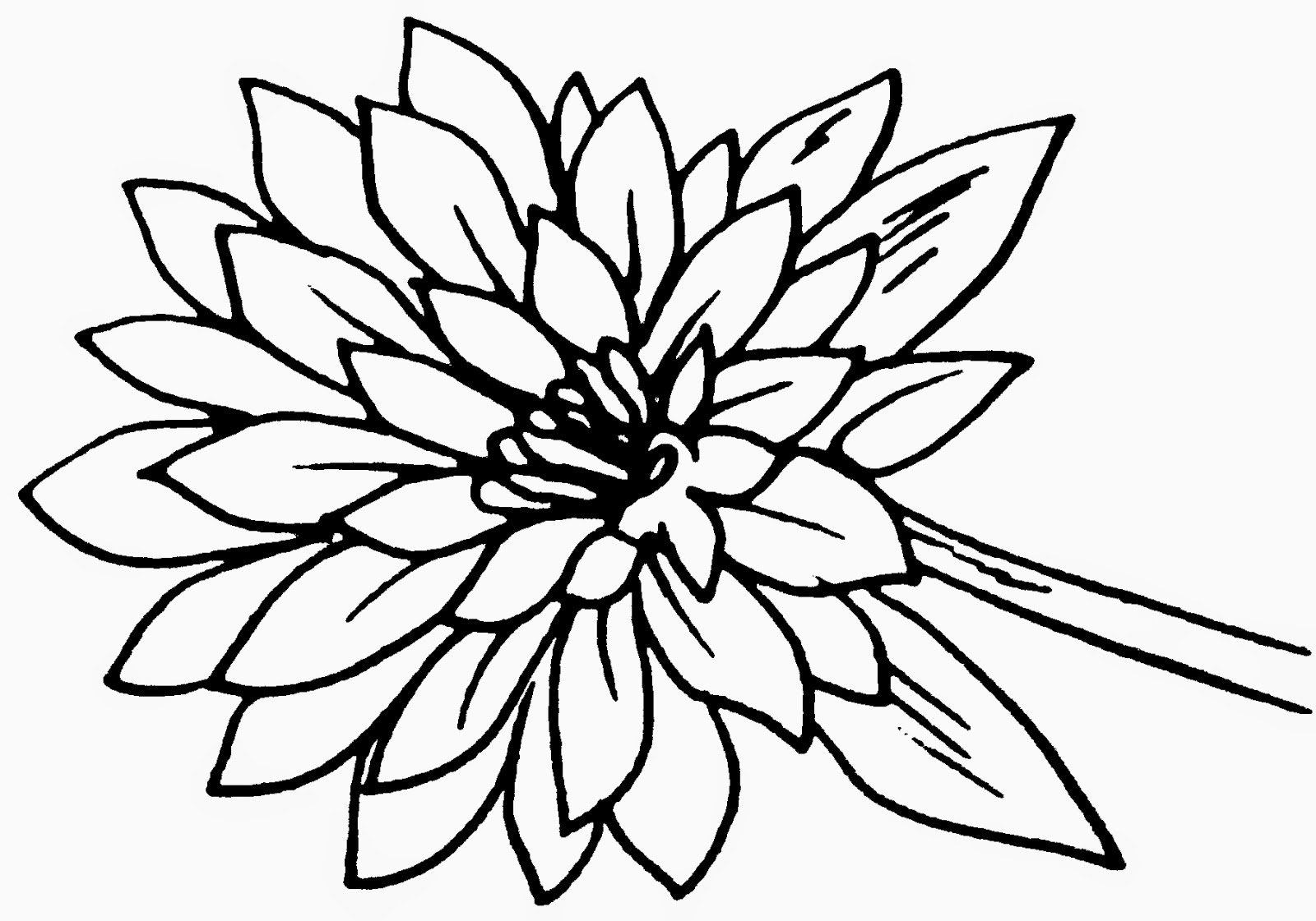 28 Gambar Bunga  Kartun Hitam  Putih  Motif Minimalis