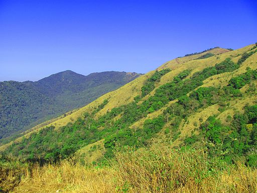 Brahmagiri Hills - Pakshi Pathalam - Near Thirunelli Temple  - Wayanad