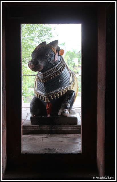 Nandi at Sangameshwar Temple, Saswadi