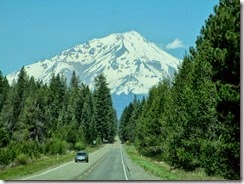 IMG_1194