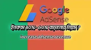 Adsense revenue increase 2024