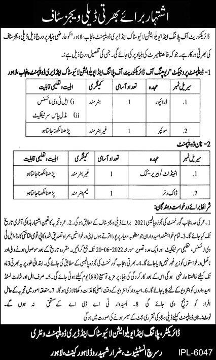 Latest Livestock and Dairy Development Department Management Posts Lahore 2022