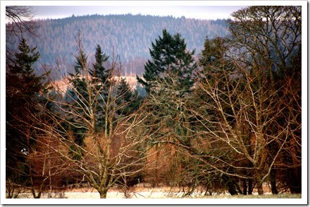 29 Dec 4 19-12-2011 12-03-45.ORF
