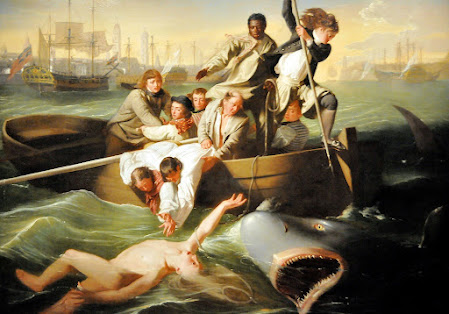 Watson and the Shark, 1778