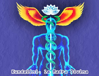 La Kundalini es una Energía infinita muy elevada y dinámica de la Madre Divina, que está enrollada en la base de la columna vertebral humana.