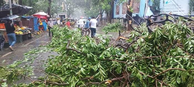 The Streets of Mumbai the Day After the Cyclone