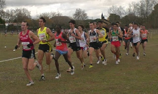 Grupo cabecero en la primera vuelta.