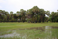 Baan Kho Mak