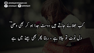 Dosti Poetry