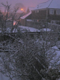 Snap from the bedroom window 7.30-ish am Frid 6th Feb