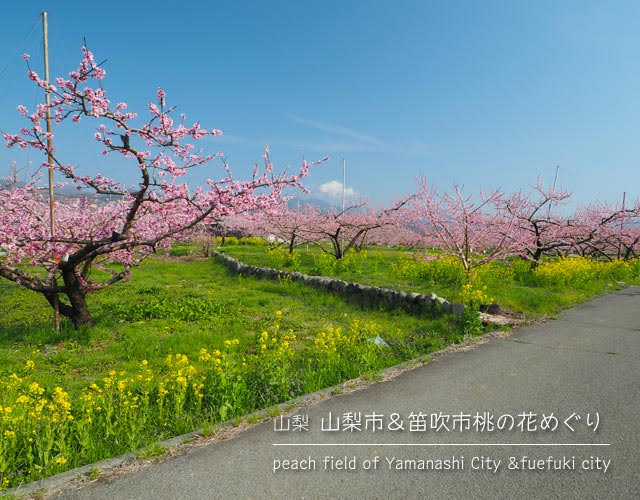 憧れの桃源郷を訪ねて山梨市＆笛吹市へ