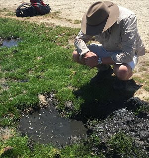 Descoberta intencional  Geólogos desenvolveram o primeiro método de pesquisa sistemático para descobrir um dos maiores campos de gás hélio do mundo, associados a vulcões no "Vale da Fenda", na Tanzânia.  Esta é a primeira vez que o gás nobre hélio, tido como "ameaçado de extinção", foi encontrado intencionalmente, abrindo o caminho para a descoberta de outras reservas em outras partes do mundo.  Também conhecida como Vale do Rift, ou Rift Valley, a região onde o hélio foi encontrado é um complexo de falhas tectônicas criado há cerca de 35 milhões de anos com a separação das placas tectônicas africana e arábica.  Minas de hélio  Até hoje depósitos de hélio só haviam sido descobertos acidentalmente, e em pequenas quantidades, durante a perfuração para extração de petróleo e gás - o problema é que os geólogos não sabiam como associar o hélio a alguma estrutura geológica que lhes apontasse onde perfurar para procurar por ele.  Como não havia formas de encontrar novas minas, e as reservas do gás são extremamente limitadas, era crescente o temor de que a oferta de hélio não pudesse ser mantida a médio e longo prazos.  O hélio é essencial para várias tecnologias, como os escâneres de ressonância magnética na medicina, energia nuclear, solda, dirigíveis, detecção de vazamentos industriais, em aparelhos científicos como os aceleradores de partículas do LHC e nos futuros reatores de fusão nuclear.  Hélio nos vulcões  Diveena Danabalan e uma equipe das universidades de Durham e Oxford, no Reino Unido, descobriram agora que os vulcões desempenham um papel importante na liberação do hélio que ocorre em quantidades-traço em rochas muito antigas, concentrando o gás em depósitos grandes o suficiente para serem explorados comercialmente.  "Demonstramos que os vulcões na fenda desempenham um papel importante na formação de reservas de hélio viáveis. A atividade vulcânica provavelmente fornece o calor necessário para liberar o hélio acumulado em rochas da crosta terrestre antigas, mas a localização precisa ser exata: se o ponto de captura do gás estiver localizado muito perto de um determinado vulcão, há o risco de que o hélio seja fortemente diluído por gases vulcânicos, como o dióxido de carbono," explicou Diveena Danabalan.  Neste caso, não seria comercialmente viável explorá-lo.  "Nós estamos agora trabalhando para identificar a 'zona cachinhos dourados' entre a antiga crosta e os vulcões modernos, onde o equilíbrio entre a liberação do hélio e a diluição vulcânica seja exatamente a correta," acrescentou Danabalan.  Consumo mundial de hélio  Os primeiros cálculos da nova reserva encontrada na Tanzânia indicam a presença de 1,53 bilhão de metros cúbicos de hélio, o equivalente a 600.000 piscinas olímpicas cheias do gás, ou 7 vezes o consumo anual mundial de hélio.  As estimativas indicam que, com a taxa de consumo de hélio atual, as reservas conhecidas até agora poderiam se esgotar até 2040.  "Agora que entendemos as técnicas, prevemos mais grandes descobertas de hélio. Isso vai ajudar a salvaguardar as futuras necessidades de hélio da sociedade," disse o professor Chris Ballentine, membro da equipe.