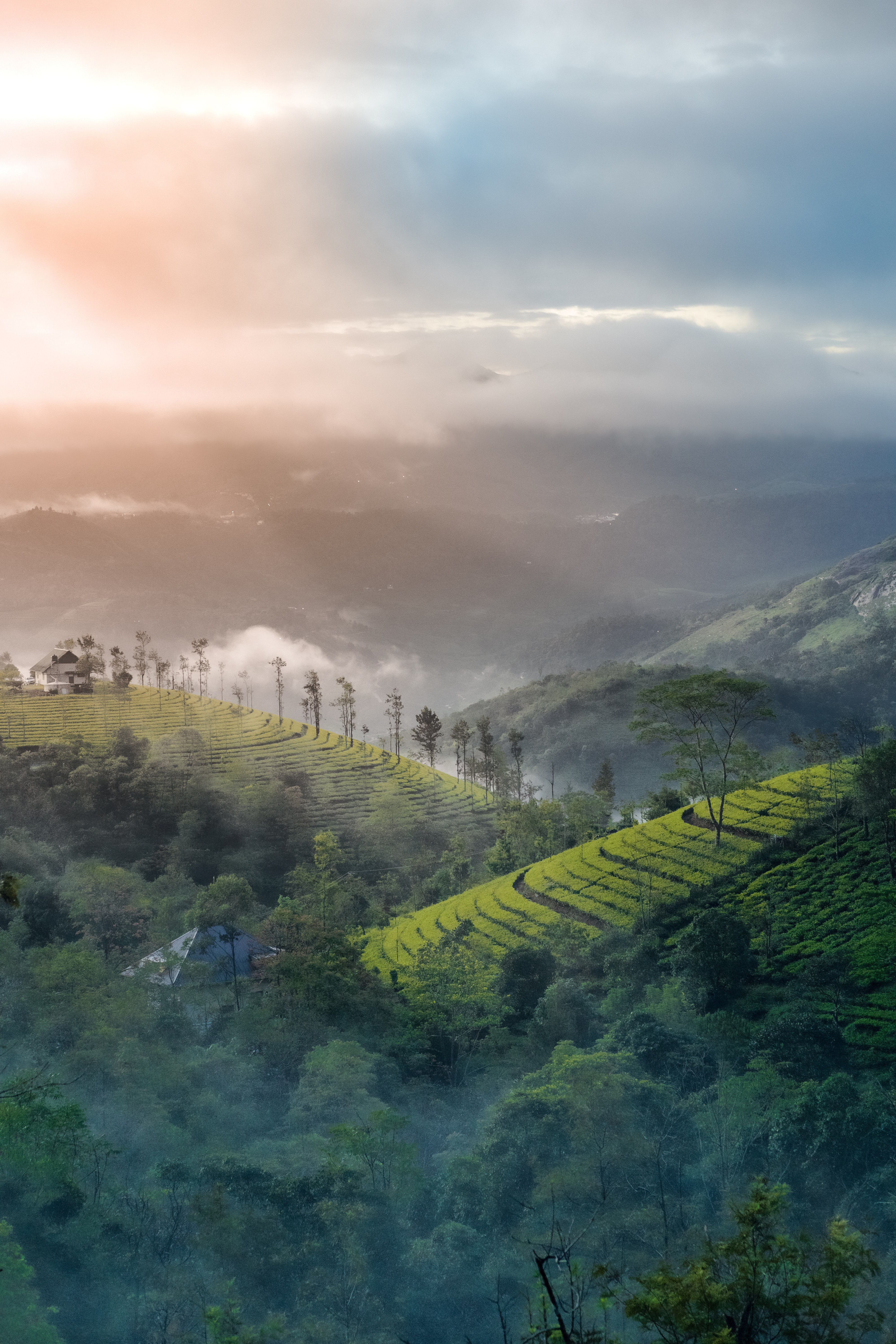 MUNNAR: THE HILL STATION OF KERALA, HIDDEN GEMS OF SOUTH INDIA