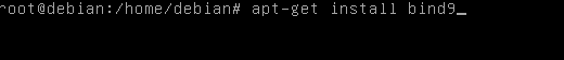 install bind9