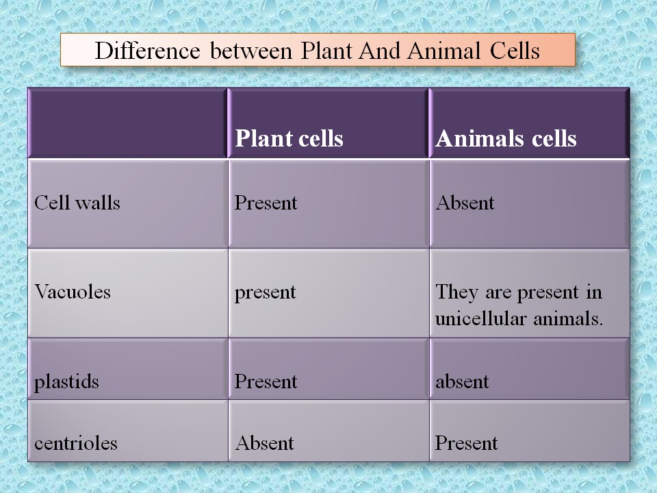 SONU ACADEMY: PLANT CELL -TEXT