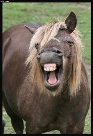 You Can Be This Funny, Too!