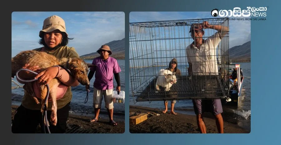 rescuers-brave-indonesian-volcanos-eruptions-to-save-pets