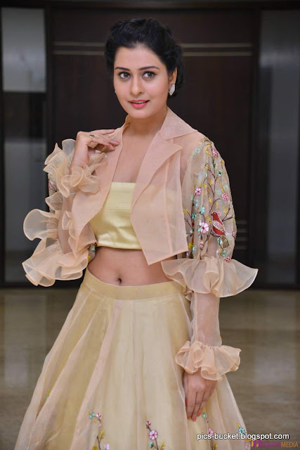 Actress payal rajput hot photos