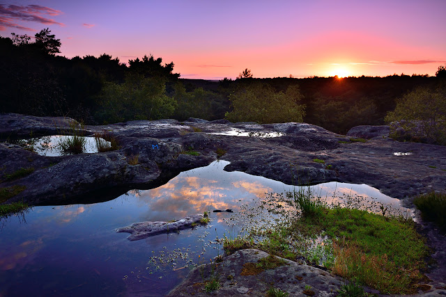 Gorges de Franchard, Fontainebleau