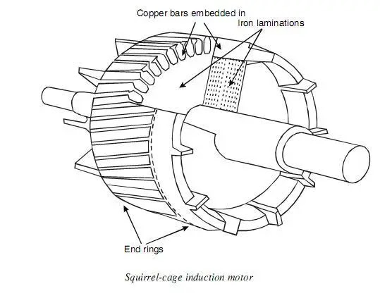 Squirrel Cage Induction Motor in Hindi