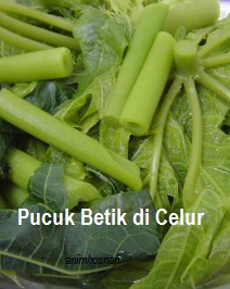 Anim Agro Technology: PUCUK BETIK - APA GUNANYA (Part 1)