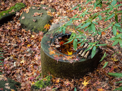 Fallen leaves: Engaku-ji