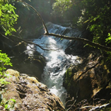 View album