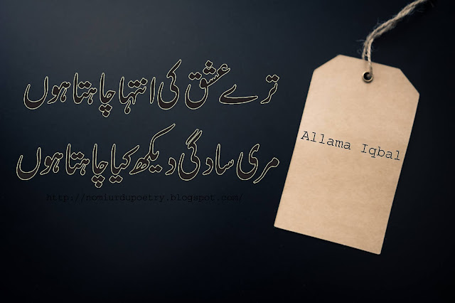  Allama Iqbal Poetry In Urdu || Heart 💕Touching Poetry || Nomi Urdu Poetry