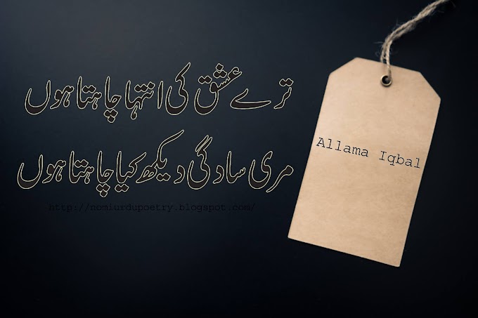 Allama Iqbal Poetry In Urdu || Heart 💕Touching Poetry || Nomi Urdu Poetry