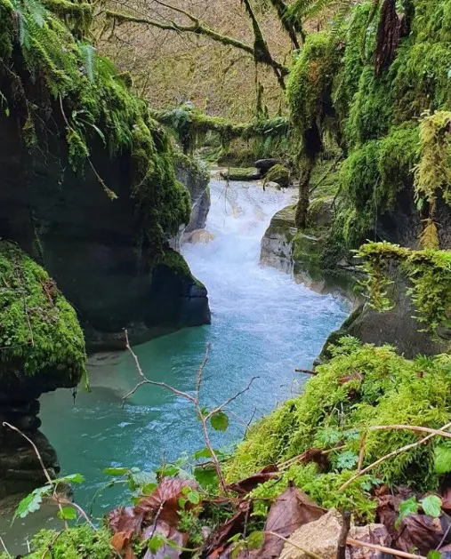 canyon trefond pernaz