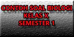 Contoh Soal Biologi Kelas X Semester 1