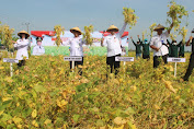 Pemkab Bojonegoro bersama Kementerian Pertanian Gaungkan Gerakan Merdeka Panen Kedelai