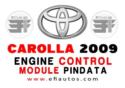 Toyota Corolla 2009 ECM Pindata