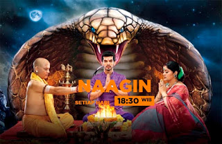 Sinopsis Naagin, Episode 13