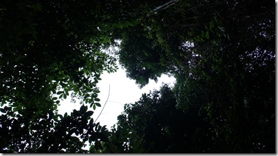DSC00536