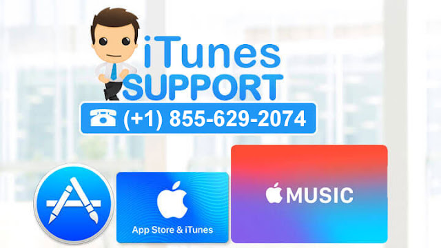 itunes support number