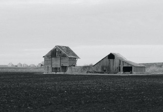 How to Predict Land Development