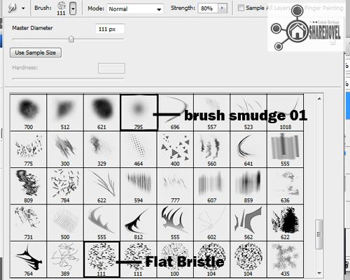 Pengaturan brush untuk memberi efek smudge painting