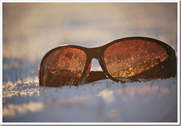 sunglasses 6