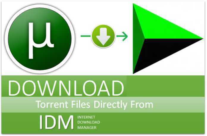 How To Download Torrent Files Using IDM At High Speed