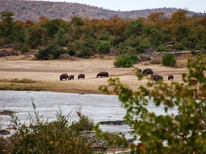 Sudafrica Kruger National Park