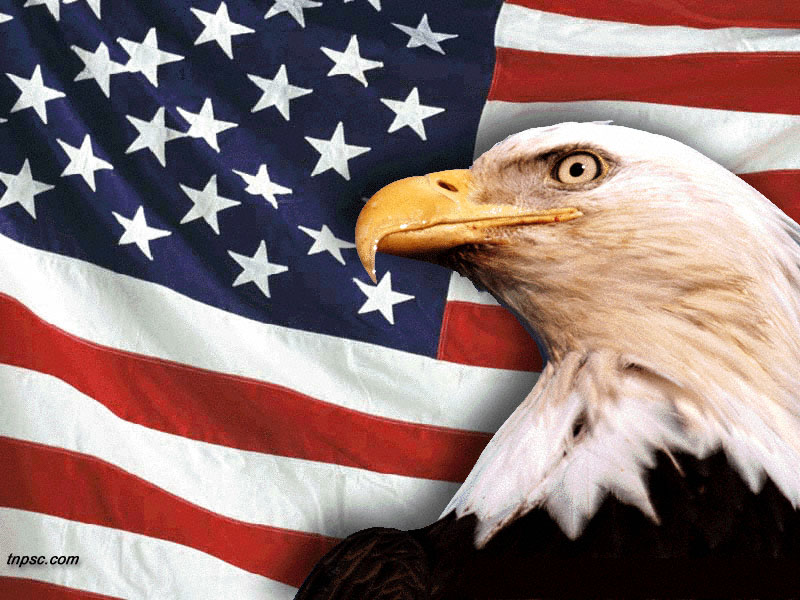 american flag background with eagle. american flag background with