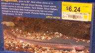 Freshwater Dragon Eel - Freshwater Aquarium Eel A Z Best Types Of Eels Fishkeeping World - The freshwater eel is a fascinating animal that is increasingly finding a place in many home aquariums around the world.