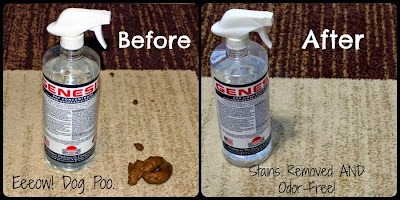 Best Cleaner For Pet Stains