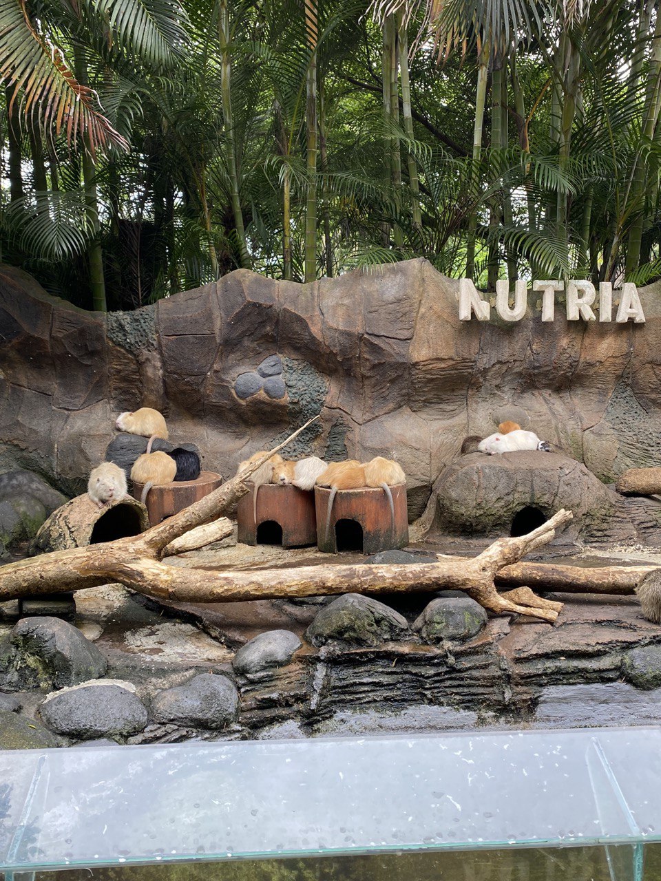 satwa predator fun park